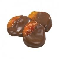 apricots_dark_chocolate_dipped