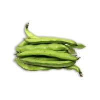 broadbeans