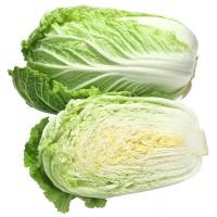 cabbage_chinese_half