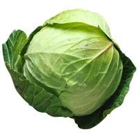 cabbage_whole