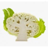 cauliflower_half