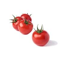 cocktailtomatoes