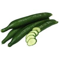 cucumber_continental