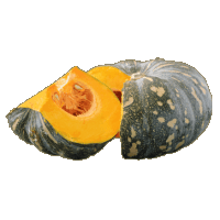 jap-pumpkin_480064489