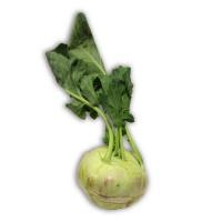 kohlrabi