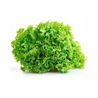 lettuce_fancy