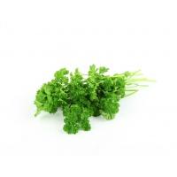 parsley_curly_leaf