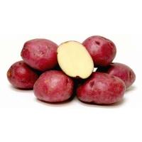 potatoe_red