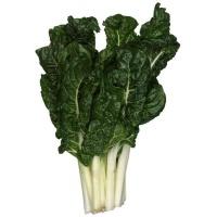 silverbeet_bunch