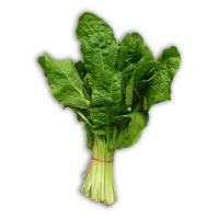 spinachbunch