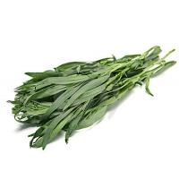 tarragon-herb-10870655