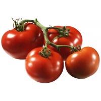 tomatoes_truss