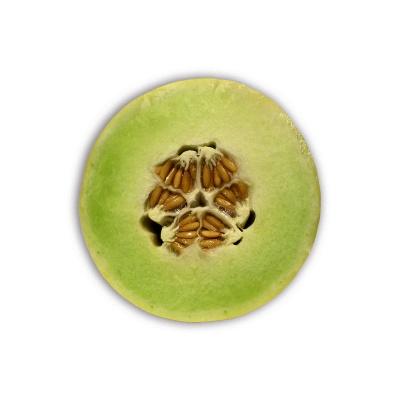 honeydew