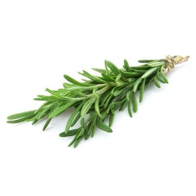 rosemary